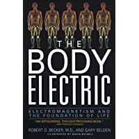 The Body Electric: Electromagnetism and the Foundation of Life